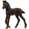 Schleich Schleich® 13977 Fríské hříbě