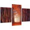 Jesenné les - obraz (Obraz 90x60cm)