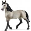 Schleich Kobyla plemena Selle Français