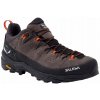 Salewa Alp Trainer 2 Gtx hnedé