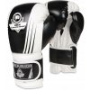 Boxerské rukavice DBX BUSHIDO B-2v3A 10 oz