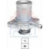 Renault CLIO 5/96-8/98 termostat chladenia /FACET/