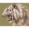 zuty Zuty - Maľovanie Podľa Čísel - Revúci Biely Tiger Portrét (D. Rusty Rust), 40X50 Cm, Plátno (8596530188360)