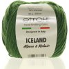 Iceland zelená 70419
