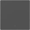 SONOFF SwitchMan Smart Wall Switch-M5 1 Gang Matter Gray