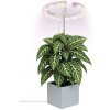 EMOS | LED Stmievateľná interiérová lampa na pestovanie rastlín GROW LED/8W/5V | Z7902