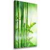 Vertikálny foto obraz na plátne Bambus vo vode 50x100 cm