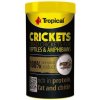 TROPICAL Crickets 100ml/10g sušené cvrčky pre plazy