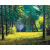 ZUTY Maľovanie podľa čísel - VZDUŠNÝ LES Rámovanie: vypnuté plátno na rám, Rozmer: 40x50 cm