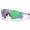 Oakley Radar EV Path OO9208-7138 Polished white-prizm jade