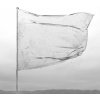 CD DOOL - THE SHAPE OF FLUIDITY