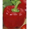 Paprika Robertina semená 0,5 g