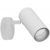 Candellux Biele stropné/nástenné svietidlo Colly pre žiarovku 1x GU10 91-01603