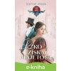 E-kniha Návod pre dámy, ako získať majetok - Sophie Irwin