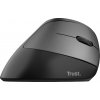 Trust Bayo Ergo Wireless Mouse 24731