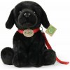 Rappa Plyšový pes labrador čierny s vodítkom 28 cm ECO-FRIENDLY