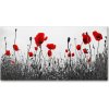 Foto obraz akrylové sklo Maky 100x50 cm
