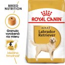 Royal Canin Labrador Retriever 12 kg