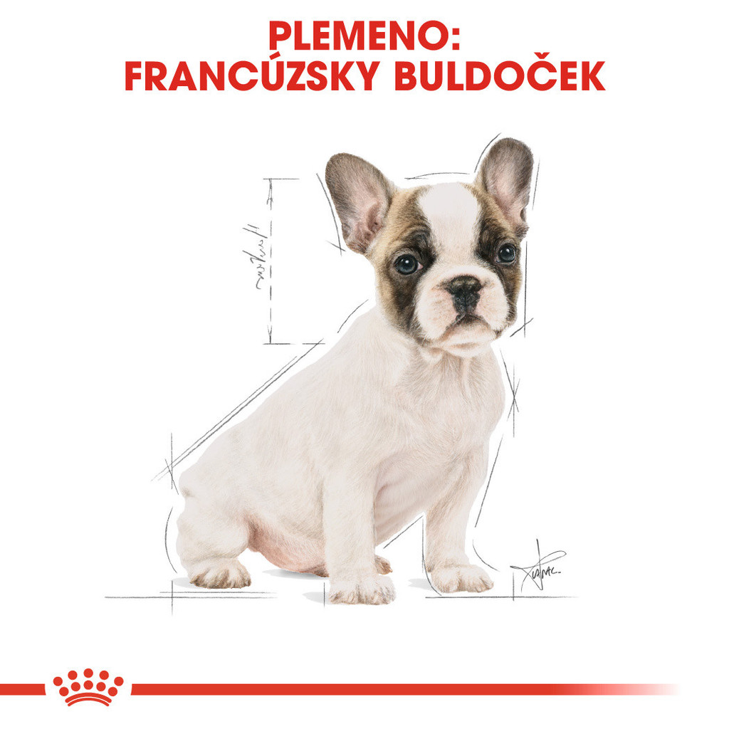 Royal Canin French Bulldog Puppy 10 kg od 69,99 € - Heureka.sk