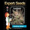 Expert Seeds - Lavender 5 ks - Semená neobsahujú THC