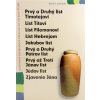 Prvý a Druhý list Timotejovi... (senior verzia) - Deväť listov Novej Zmluvy