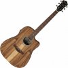 Ibanez V40WSCE-OPB Open Pore Brown Elektroakustická gitara Dreadnought