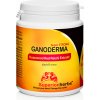 Superionherbs Ganoderma Duanwood Red Reishi - Extrakt 40% polysacharidov, 90 kapsúl