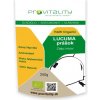 Lucuma Raw Organic prášok