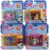 Littlest Pet Shop Pet Nook Random