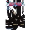 Bleach 15: Beginning of death tomorrow - Kubo Tite