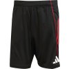 Šortky adidas Ajax Amsterdam Training Short 2025/26 jp1755 Veľkosť L