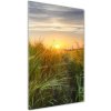 Vertikálny foto obraz sklo tvrdené Pole pšenice 50x100 cm