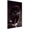 Vertikálny foto obraz akrylový na stenu Čierna mačka 50x100 cm