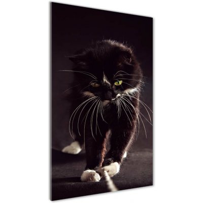 foto obrazy na stenu - mačka na wc 81 x 51 cm – Heureka.sk