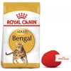 ROYAL CANIN Bengal Adult 10kg + ZADARMO mačacia guľa!