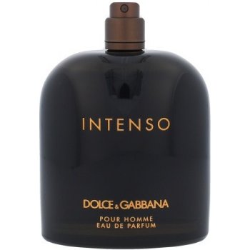 Dolce & Gabbana Intenso toaletná voda pánska 125 ml