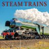 Steam Trains, 30,5 x 30,5 30,5 x 61 cm 2026