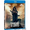 Čarodějnice a lovec Blu-ray