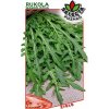 Rukola úzkolistá: Diplotaxis tenuifolia - 0,5g