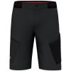 Salewa Pedroct 3 Dst M Cargo shorts black