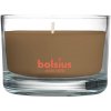 Sviečka bolsius Jar True Scents 50/80 mm, škorica/jablko