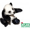 Atlas A Pandí mládě 4,5 cm