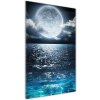 Vertikálny fotoobraz na skle Mesiac v splne 50x100 cm