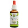 Salvia paradise Graviola - Annona AF tinktura 50ml