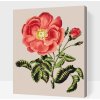 Vymalujsisam.sk Maľovanie podľa čísiel - Vintage ruže 1 Veľkosť: 40x50cm, Rám: Bez rámu, iba zrolované plátno