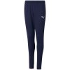 Puma teamRISE Poly Training Pants Junior 657391 06 (71664) 116cm