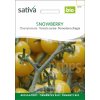 BIO Cherry paradajka, Snowberry žltá