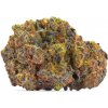 Growers Choice - San Fernando Valley x The Purps 5 ks - Semená neobsahujú THC