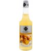 Rioba Ginger Sirup 0,7 l