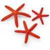 biOrb Umelá dekoracia - Star Fish Decor Set červená 12, 10 a 8 cm